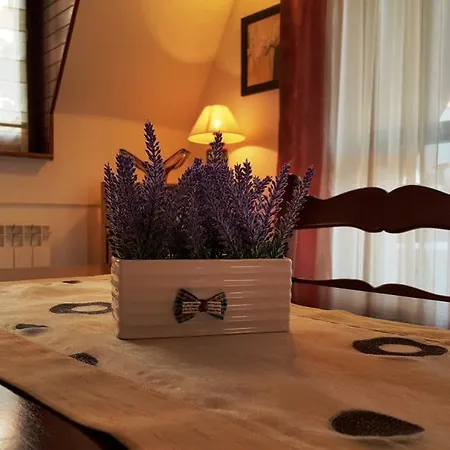 Cobanija Apartment