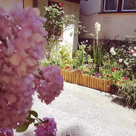 Cobanija Сараево