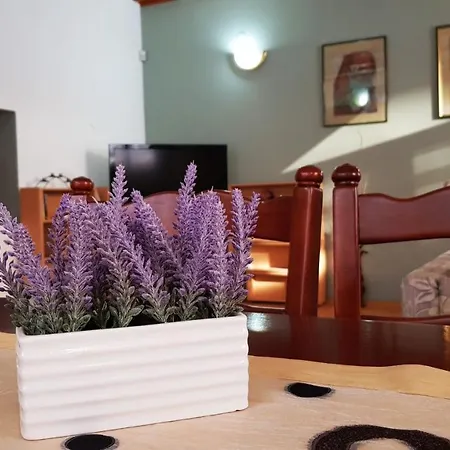 Apartment Cobanija *