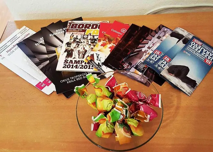 公寓 Cobanija 塞拉耶佛