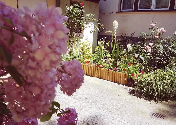 Cobanija 塞拉耶佛